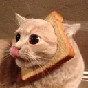 breadCat breadCat