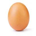 eggy