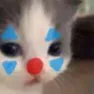 clownies