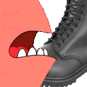 bootlick