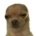 cdoggo_dafuque Discord emoji