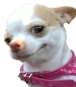 cdoggo_hmm cdoggo_hmm