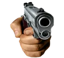 gun