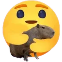 :Capyhuga: