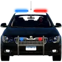 uspolice2 uspolice2