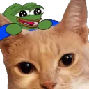 PettheArya