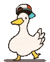 duckdance