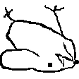 LLLLLLLLL