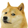 Doggoleave