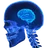 :Cerveau1: Cerveau1