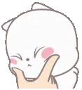 :ChatonSquish: ChatonSquish