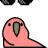 :ParrotThug: ParrotThug