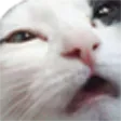 ChatZoom