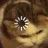 :ChatConfus: ChatConfus