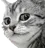 :ChatJugement: ChatJugement
