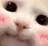 :ChatOwO: ChatOwO