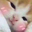 ChatUwU