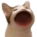 ChatPop