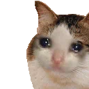 ChatTristePouce