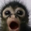monowow