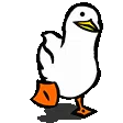 :PiouMarche: PiouMarche