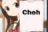 :Cheh: Cheh