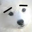 fluffydoggosad Discord Emoji