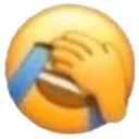 laughfacepalm
