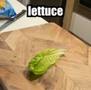 lettuce