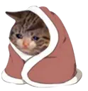 AP_SadBlanket_Cat