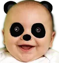 gappu_panda
