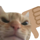 catnao Discord emoji