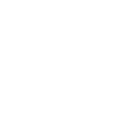 F4 F4
