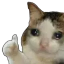 oknotok