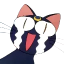 SMU_ScaredLunaCry SMU_ScaredLunaCry