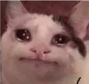 sad Discord Emoji