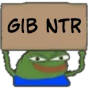 pepegibntr
