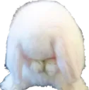 mc_bunnysad Discord Emoji