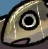 O_