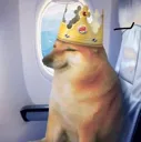 DogeKINg