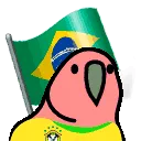 brazilianfanparrot