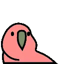 boredparrot