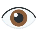 eye2 eye2