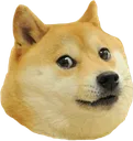 Chien