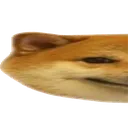 :Chien1: Chien1