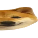 Chien2