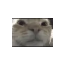 makemeweew