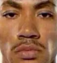 DRose DRose