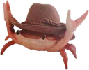 ferrisCowboyRTX ferrisCowboyRTX