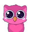 owl_dance